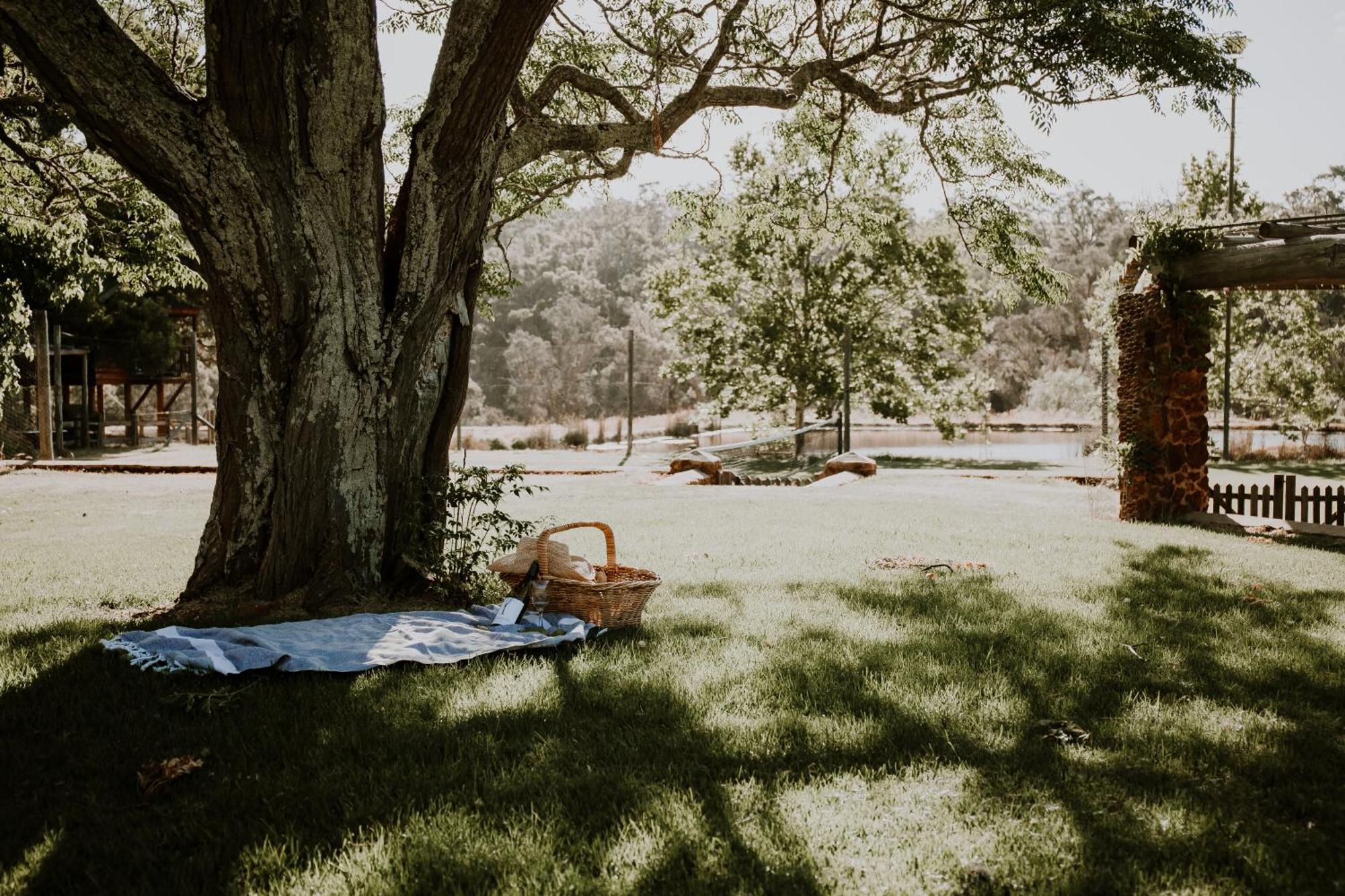 Clover Cottage Country Retreat Manjimup Eksteriør billede